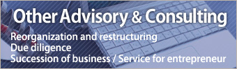 Advisory service